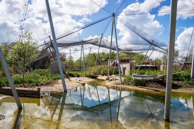 Living Wetland Theatre by B|D landscape architects