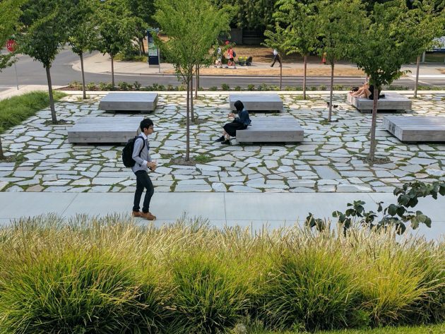Ponderosa Commons