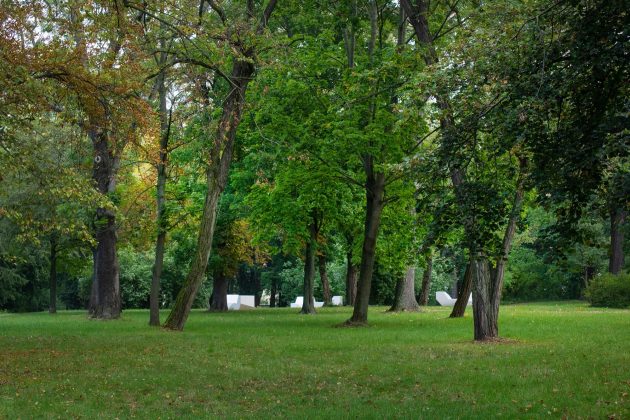 Alte Bibel by POLA